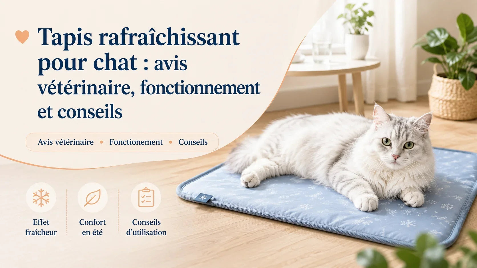 Chat allongé sur un tapis rafraîchissant, article Oaura sur le fonctionnement et les conseils vétérinaires pour rafraîchir son chat