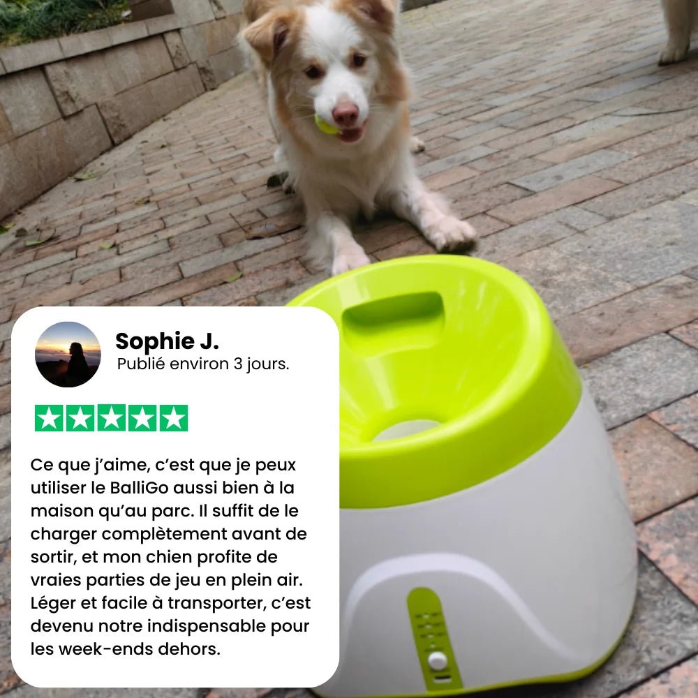 Lanceur automatique pour chien – BalliGo - oaura
