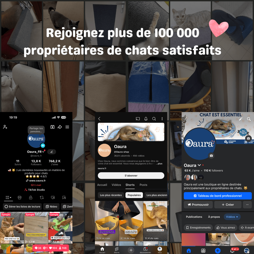Pelle à Litière 2 en 1 Pour Chat - oaura