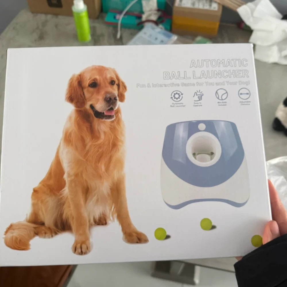 Lanceur automatique pour chien – BalliGo - oaura