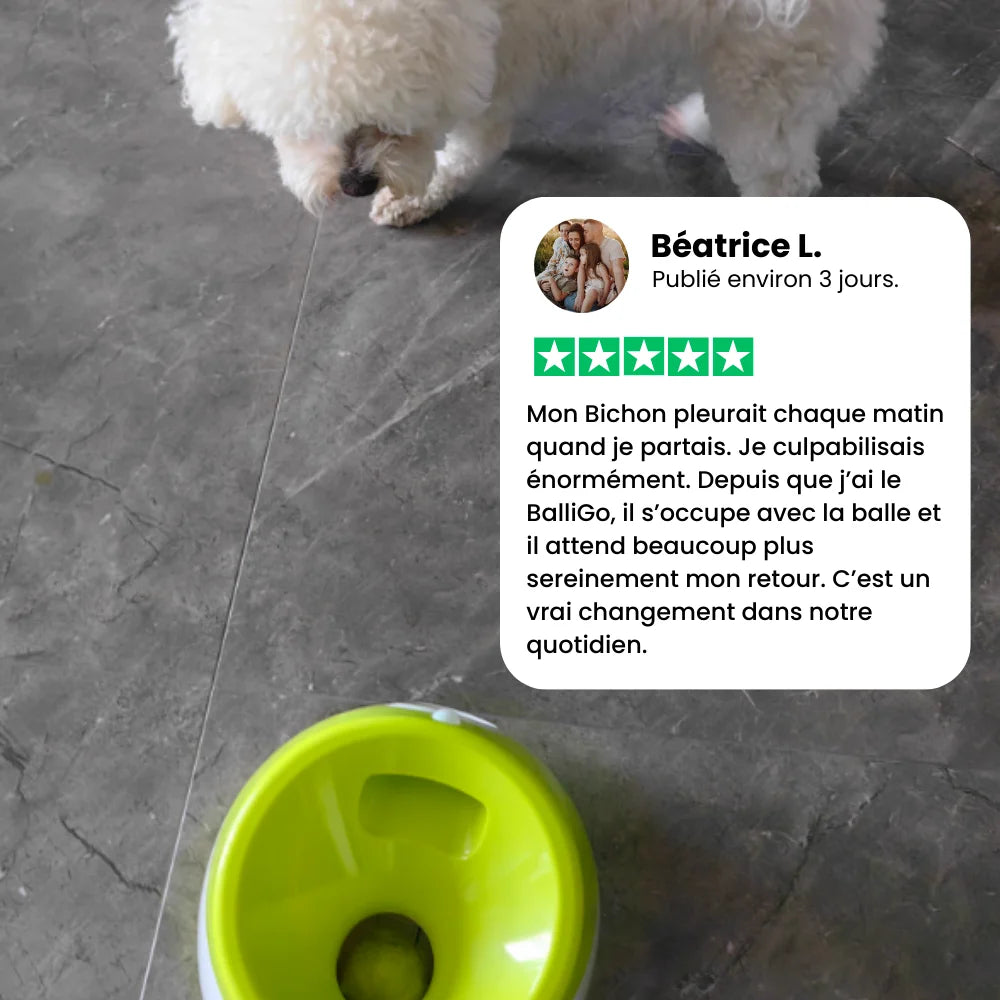 Lanceur automatique pour chien – BalliGo