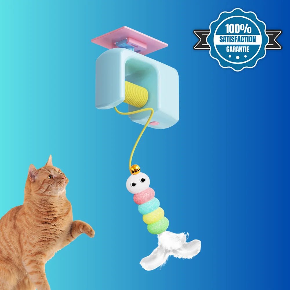 Jouet Automatique pour Chat – CatchyCat - oaura