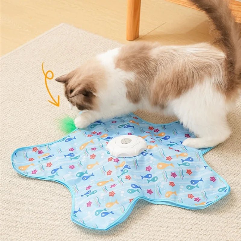 Jouet Cache-Cache pour Chat - Tapicache 2026 - oaura