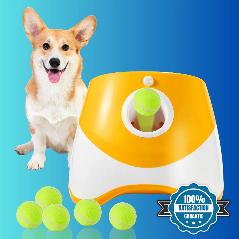 Lanceur automatique pour chien – BalliGo