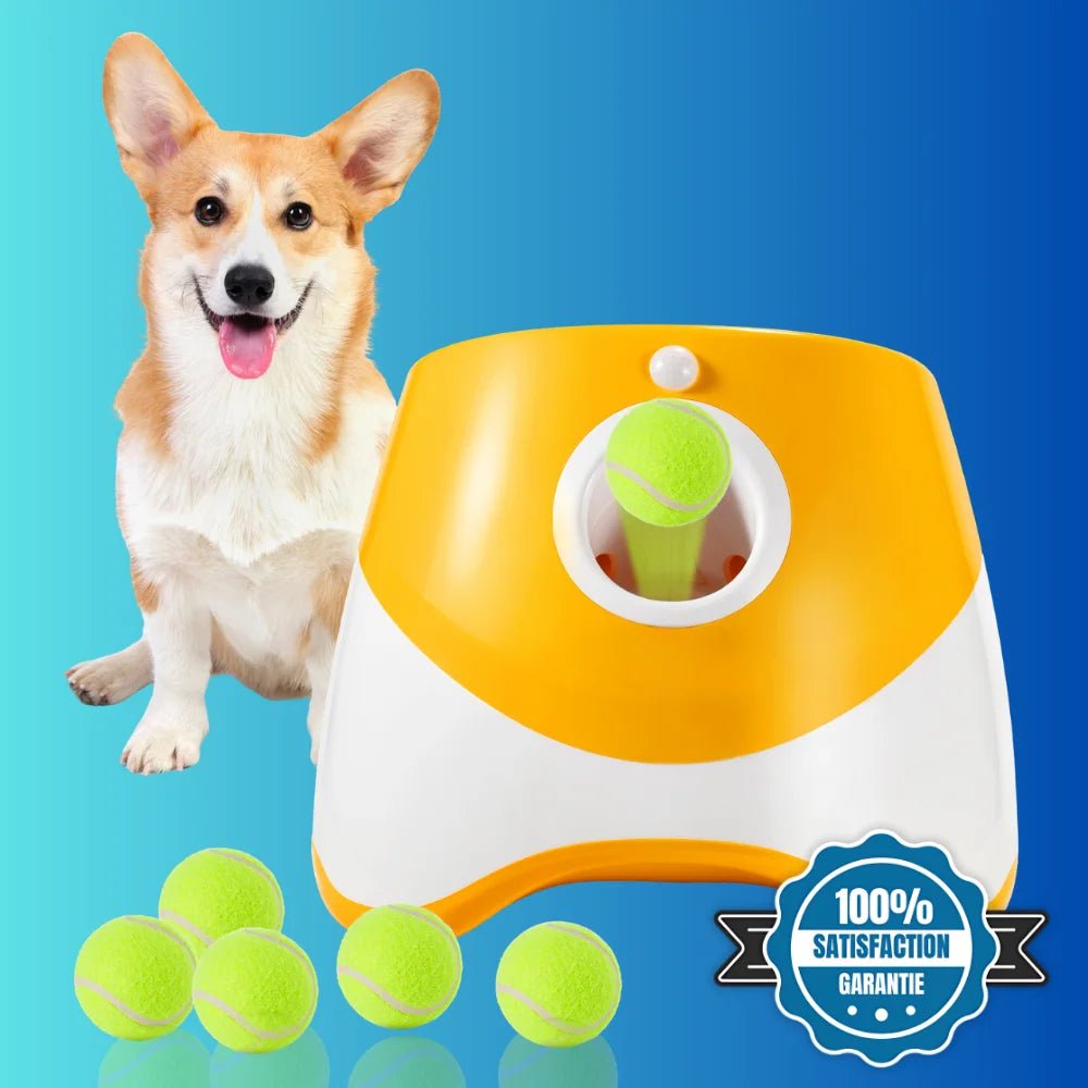 Lanceur automatique pour chien – BalliGo - oaura