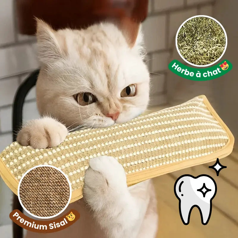 Coussin à Mâcher en Sisal Avec Herbe à Chat