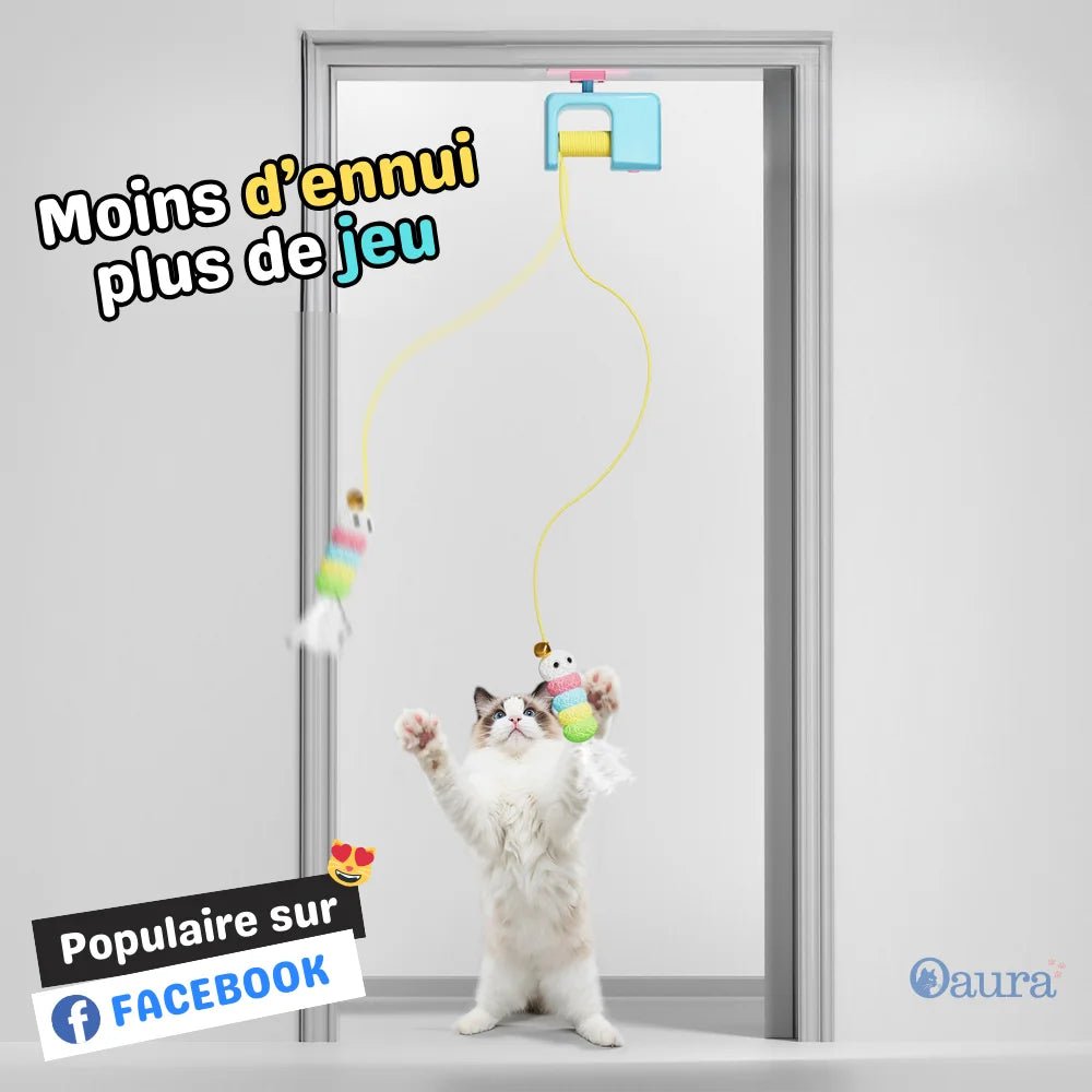 Jouet Automatique pour Chat – CatchyCat - oaura