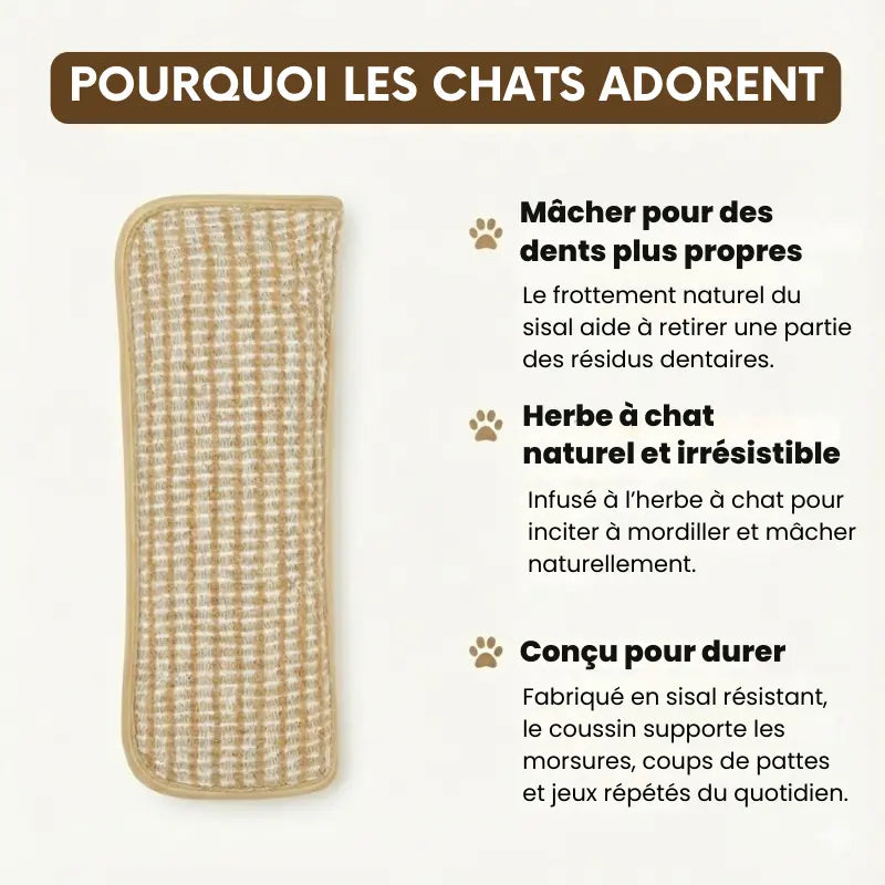 Coussin à Mâcher en Sisal Avec Herbe à Chat