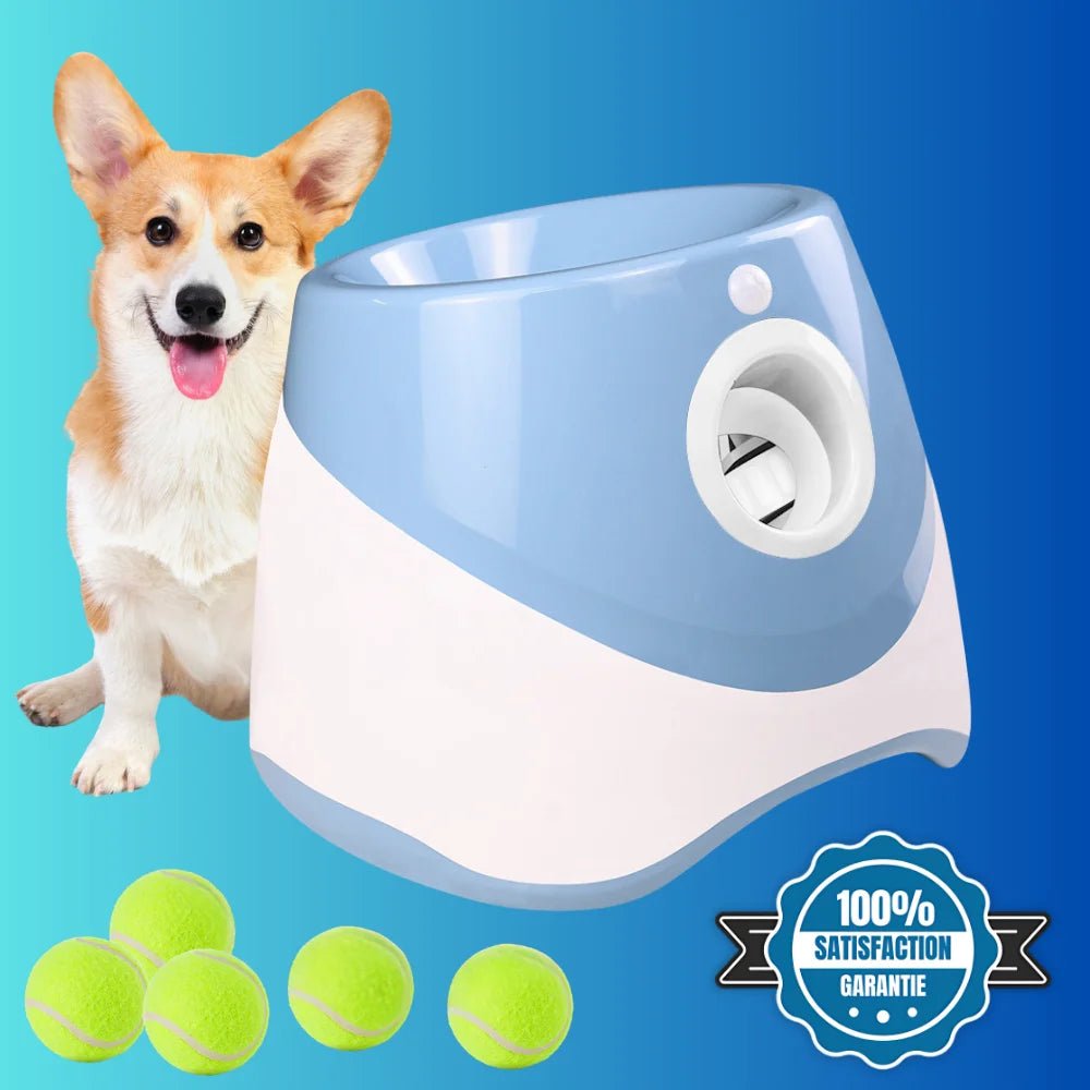 Lanceur automatique pour chien – BalliGo - oaura