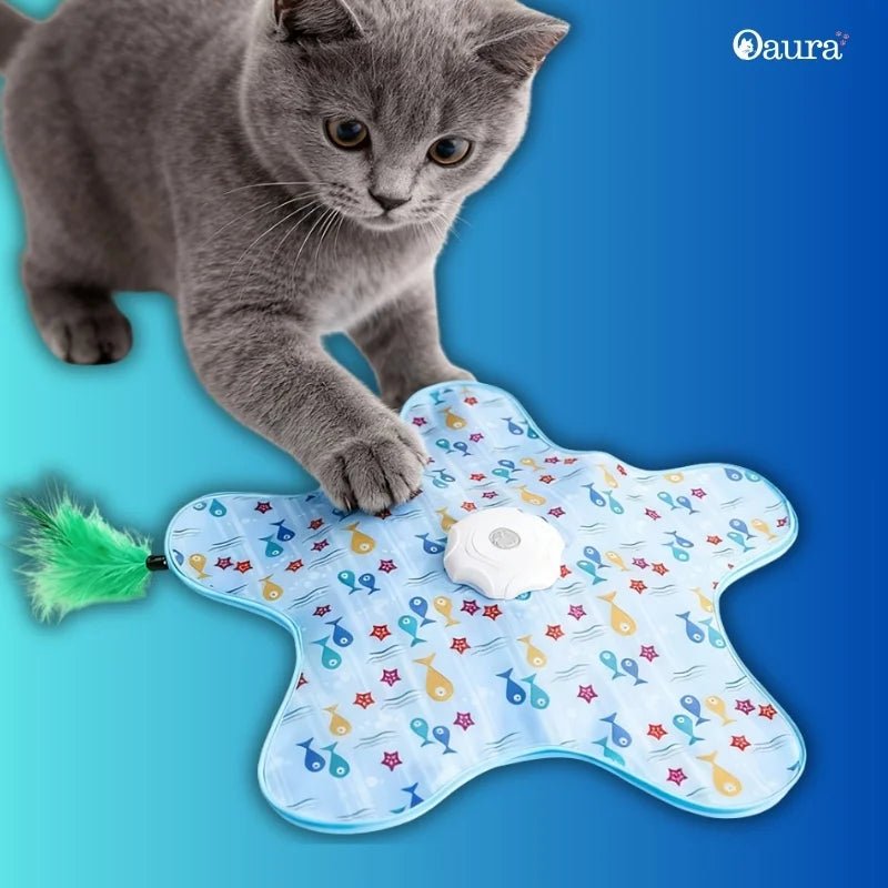 Jouet Cache-Cache pour Chat - Tapicache 2026 - oaura