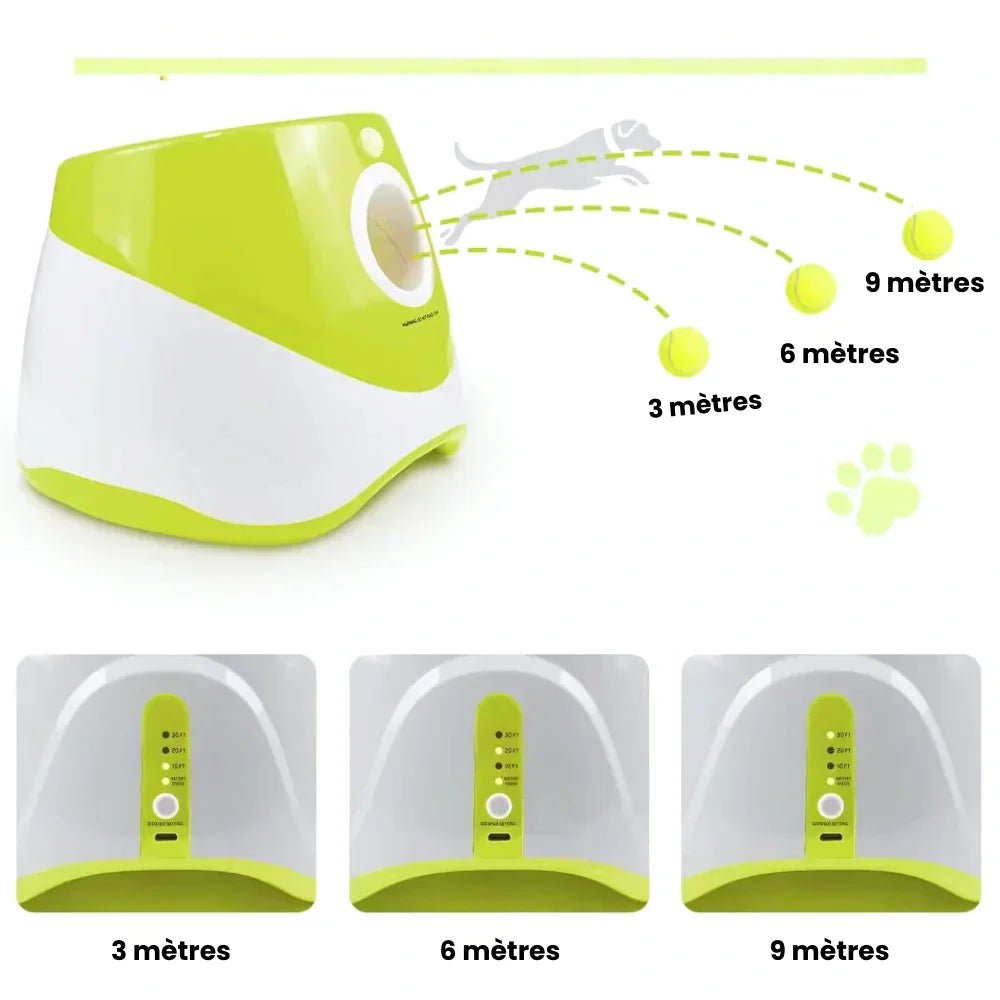Lanceur automatique pour chien – BalliGo - oaura