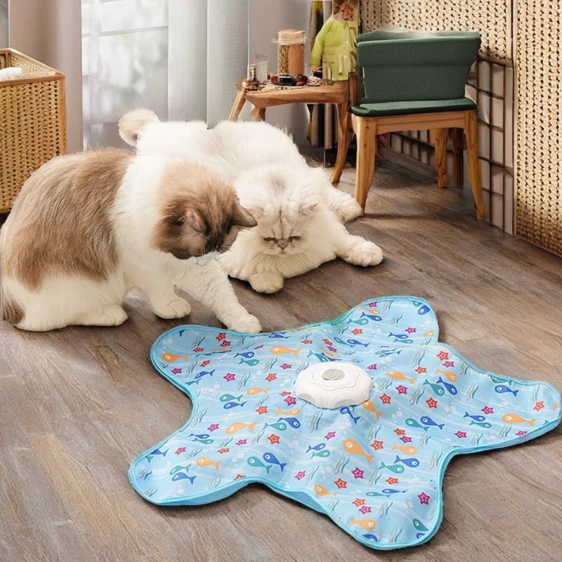 Jouet Cache-Cache pour Chat - Tapicache 2026 - oaura
