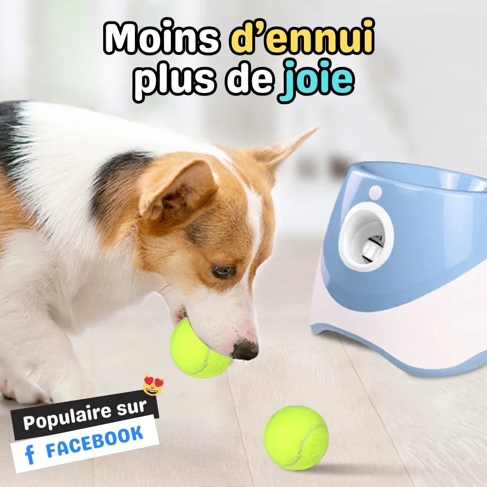 Lanceur automatique pour chien – BalliGo - oaura
