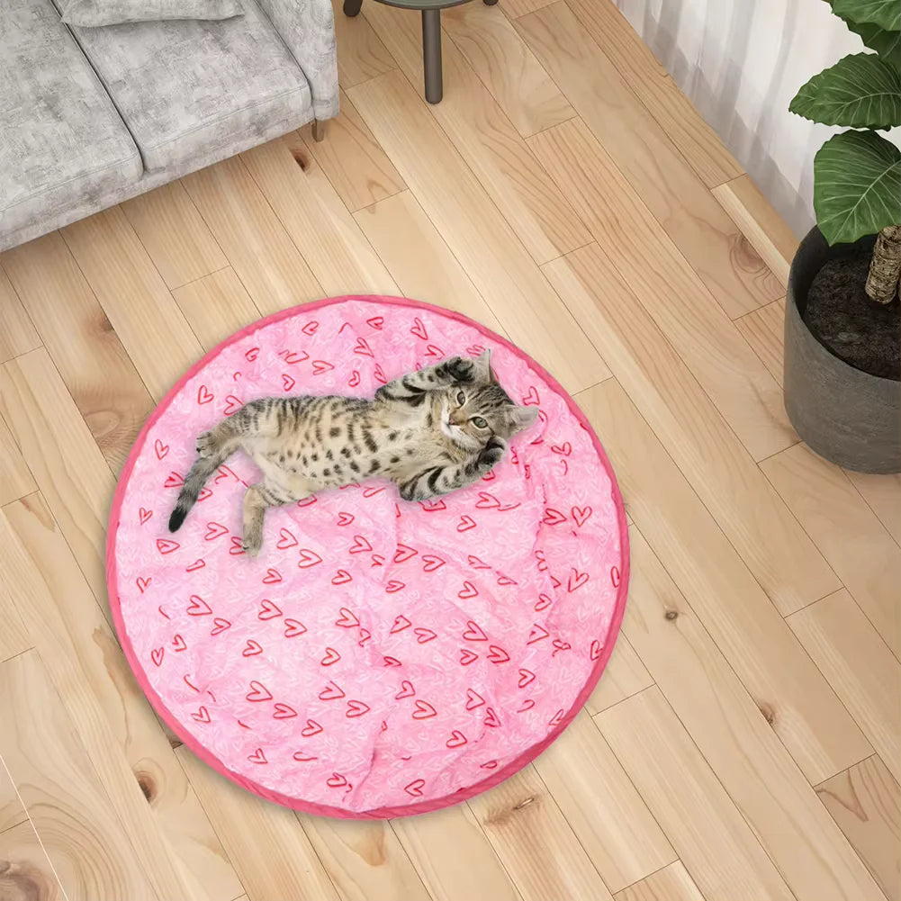 Interactive Cat Toy - CaptiChat