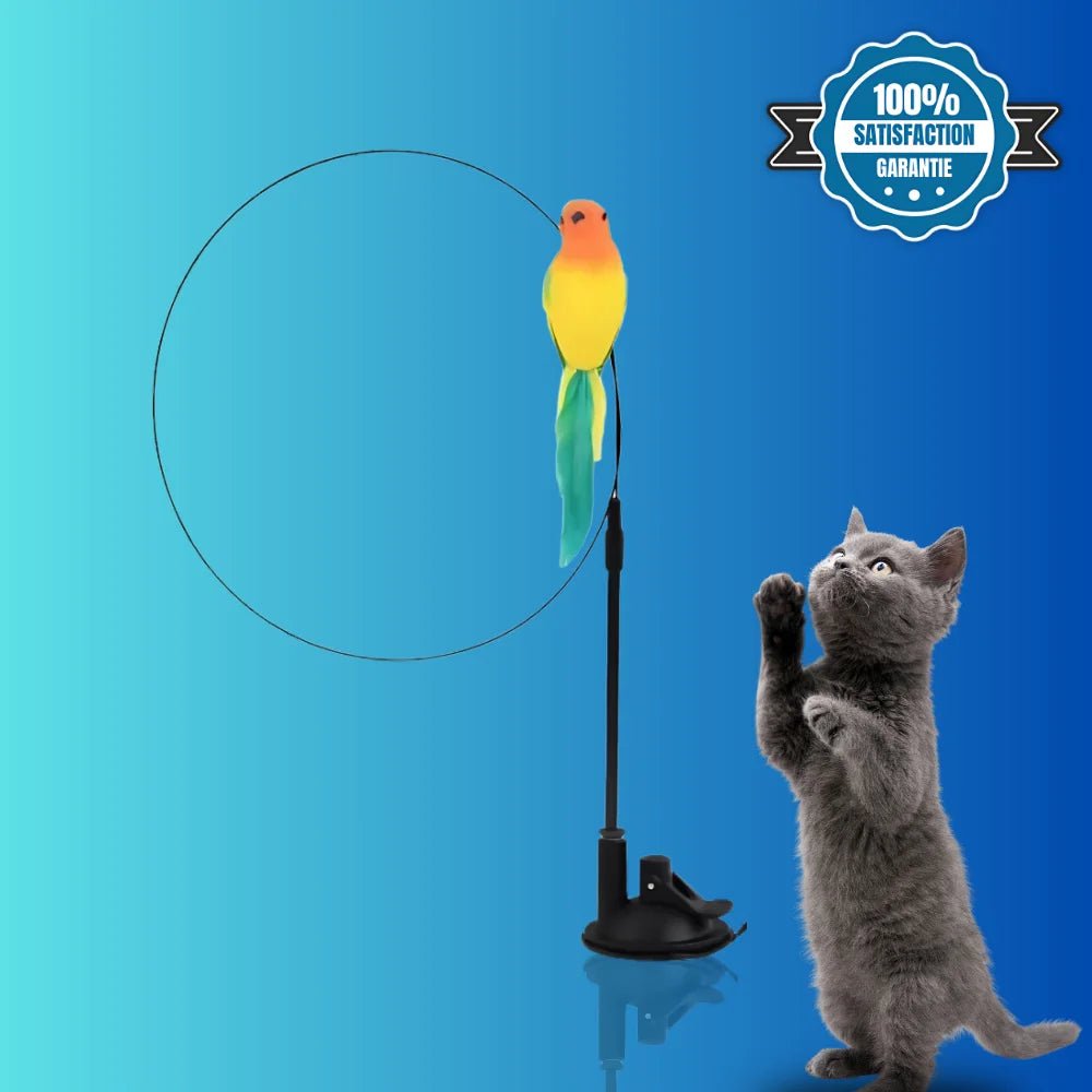 Jouet Oiseau - BirdyFun - oaura