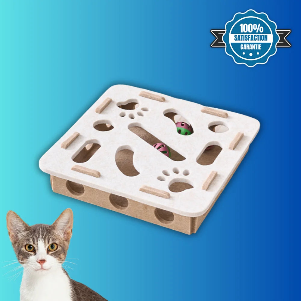 Boîte interactive pour chat - BoxiCat