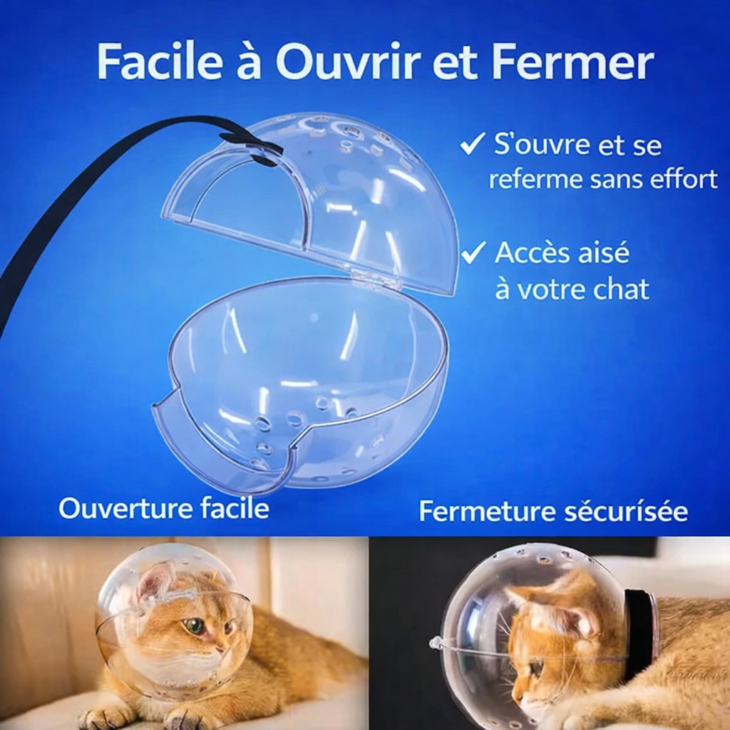 Interactive Cat Box - BoxiCat