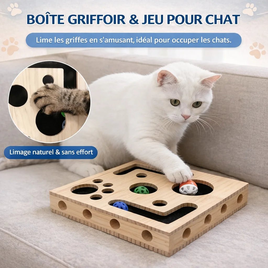 Jouet puzzle interactif pour chat en bois – Griff’Puzzle™ - oaura