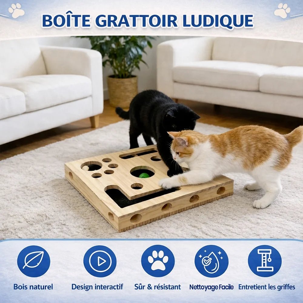 Jouet puzzle interactif pour chat en bois – Griff’Puzzle™ - oaura