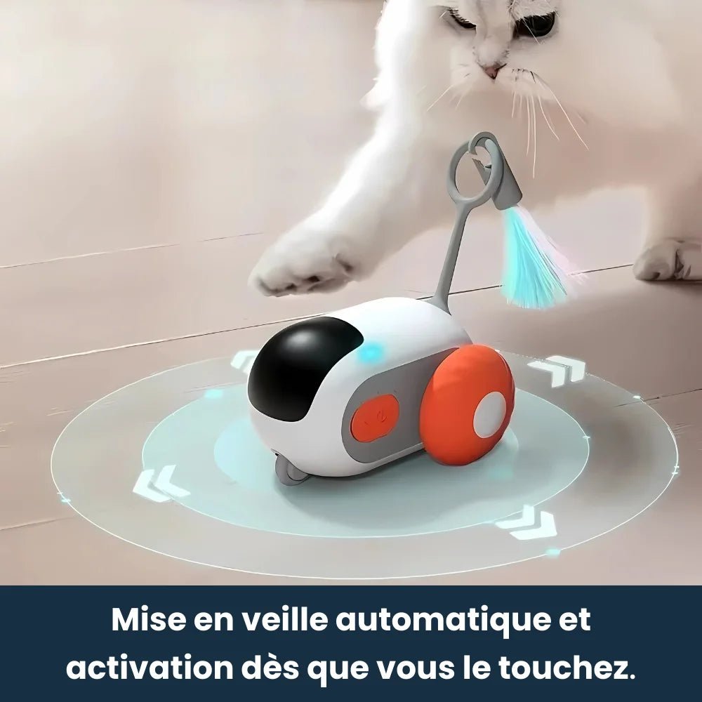 Jouet Téléguider Pour Chat - PawsCars - oaura