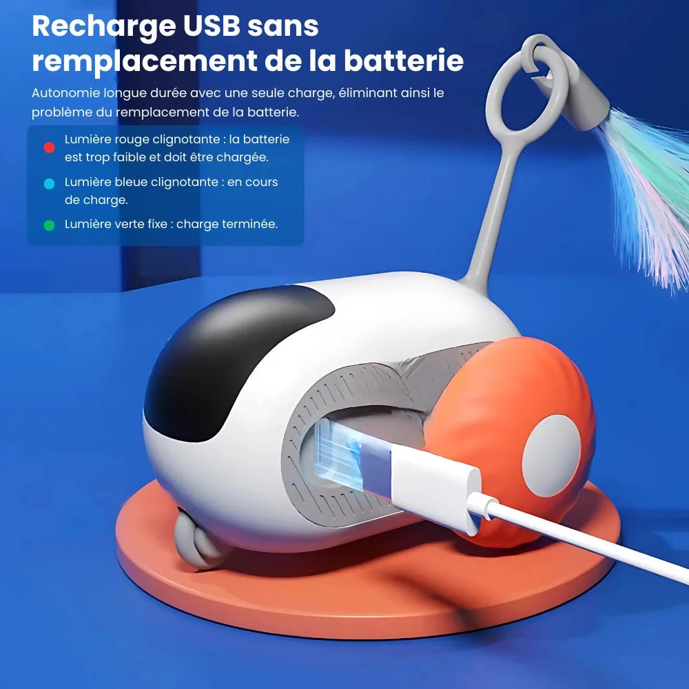 Jouet Téléguider Pour Chat - PawsCars - oaura