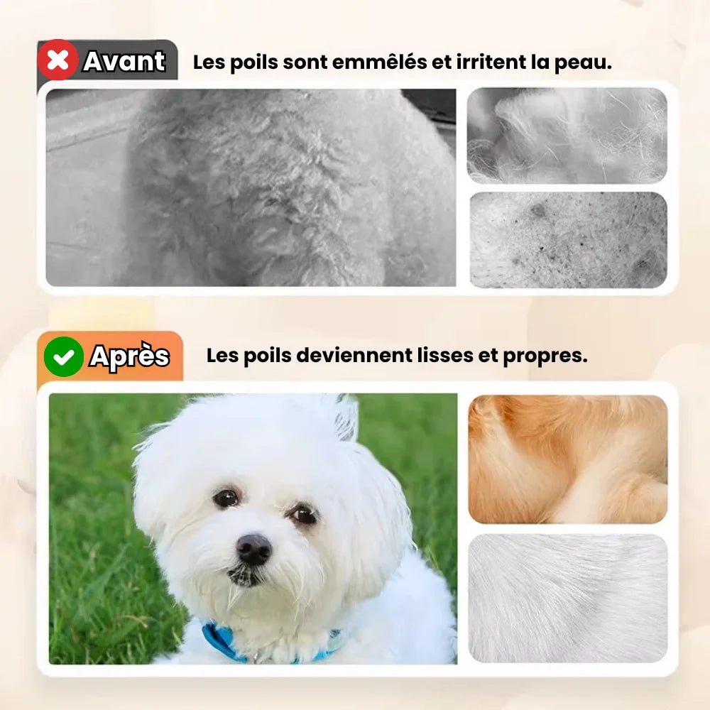Brosse de bain 2 en 1 pour animaux - BrushyPet - oaura
