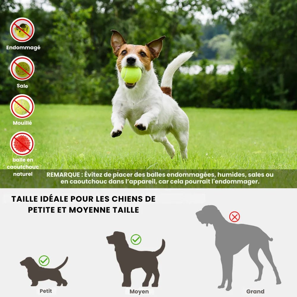 Lanceur automatique pour chien – BalliGo - oaura