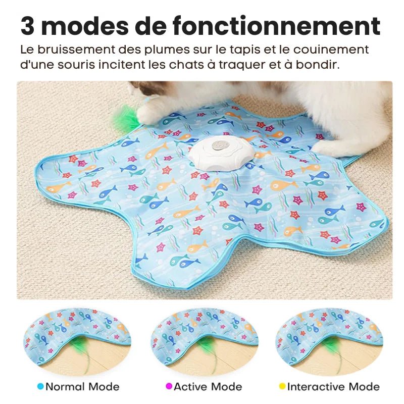Jouet Cache-Cache pour Chat - Tapicache 2026 - oaura