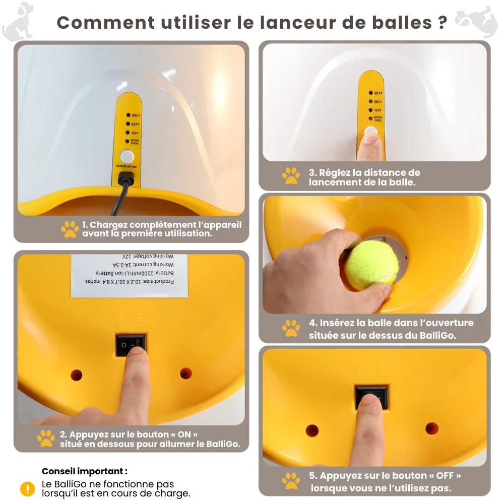 Lanceur automatique pour chien – BalliGo