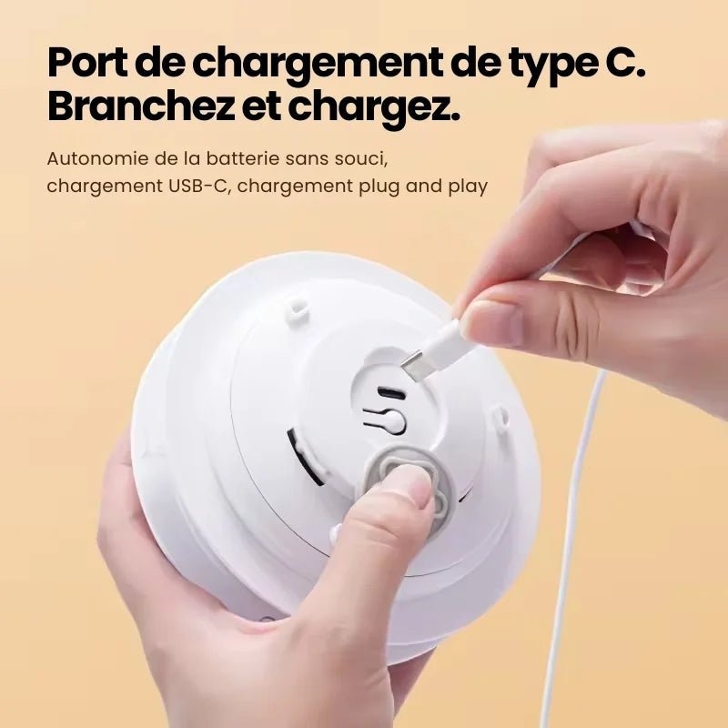Jouet Cache-Cache pour Chat - Tapicache 2026 - oaura
