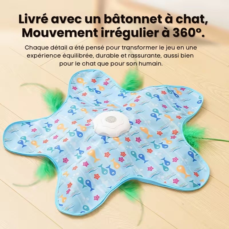 Jouet Cache-Cache pour Chat - Tapicache 2026 - oaura