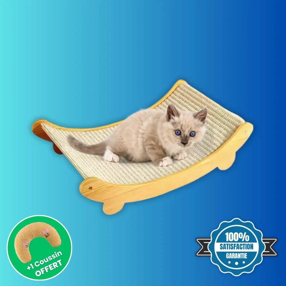 Lit à Gratter Pour Chat - oaura