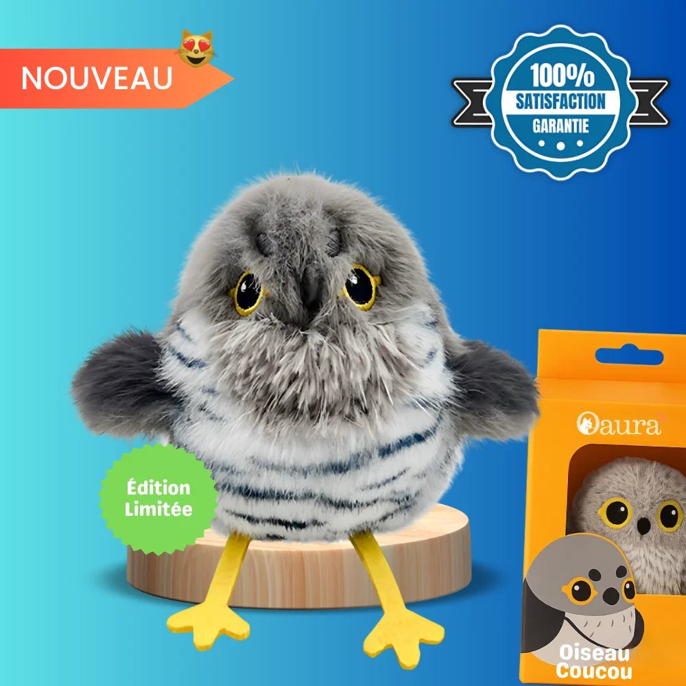 Jouet Oiseau Interactif Pour Chat - Pioucat - oaura