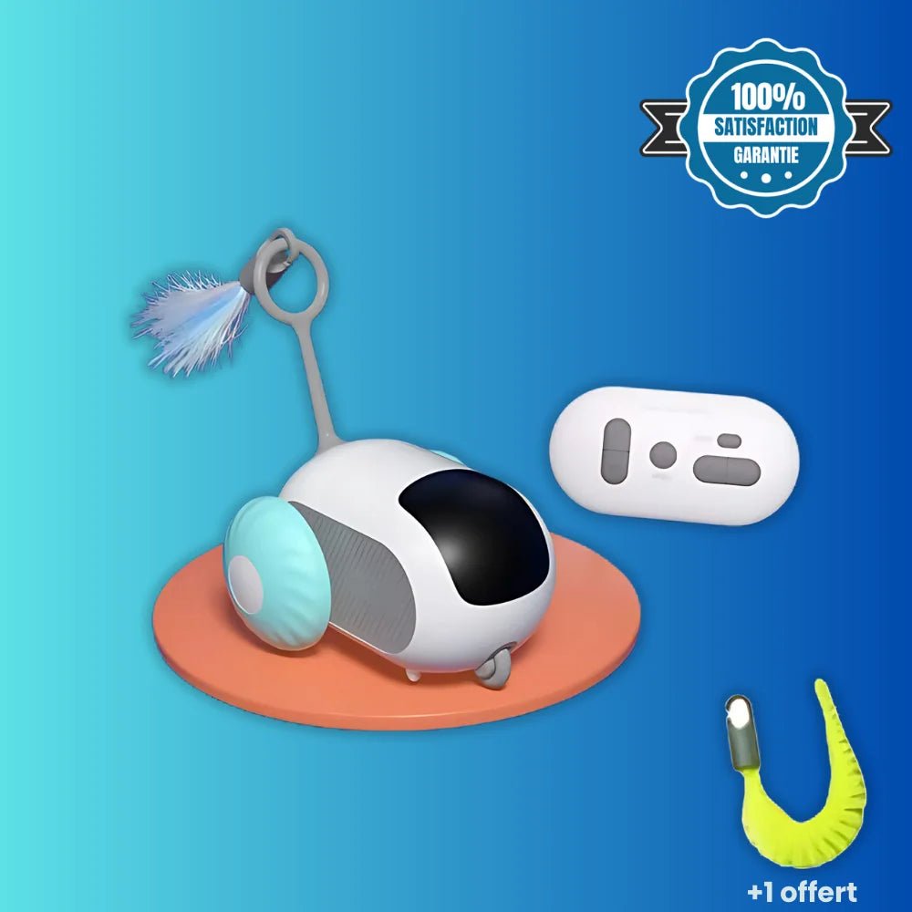 Jouet Téléguider Pour Chat - PawsCars - oaura