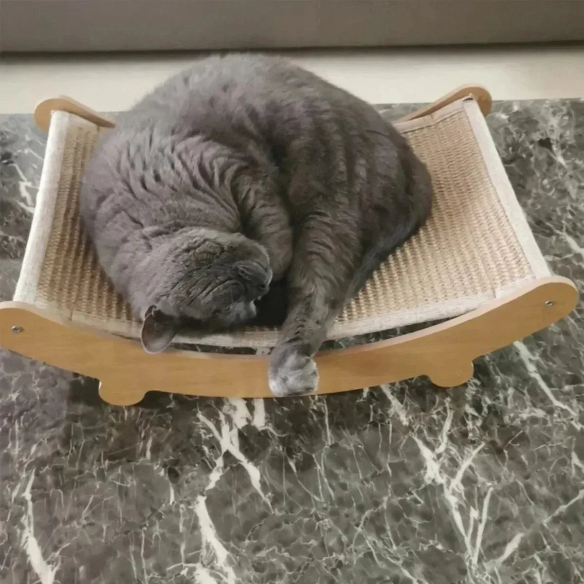 Cat Scratching Bed