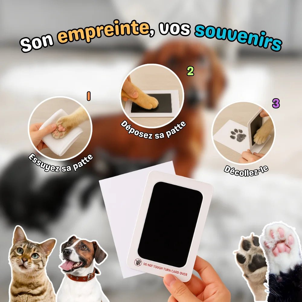 Kit Empreinte Animaux – PawMemory - oaura