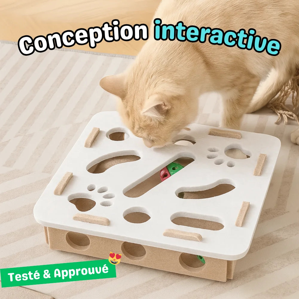 Boîte interactive pour chat - BoxiCat