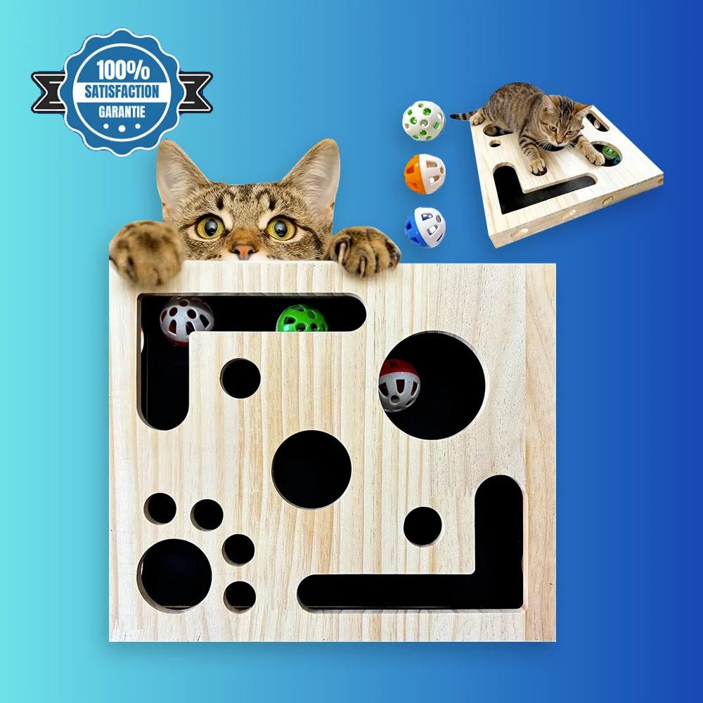 Jouet puzzle interactif pour chat en bois – Griff’Puzzle™ - oaura
