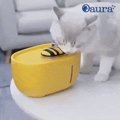 GIF de présentation de la fontaine à eau pour chat AquaBee montrant son design abeille, sa filtration, son fonctionnement silencieux et son nettoyage facile
