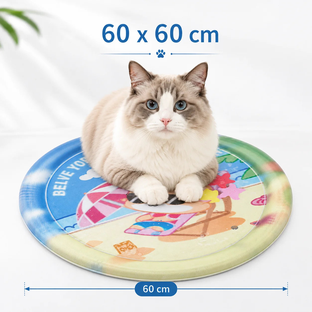Tapis rafraîchissant AquaFresh pour chat en format 60 x 60 cm avec chat installé dessus