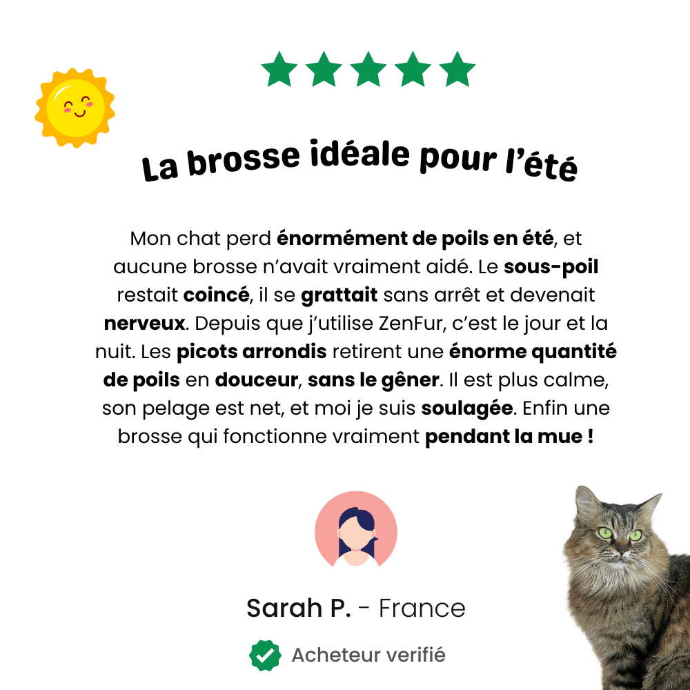 Avis client sur la brosse ZenFur idéale pour retirer les poils en été