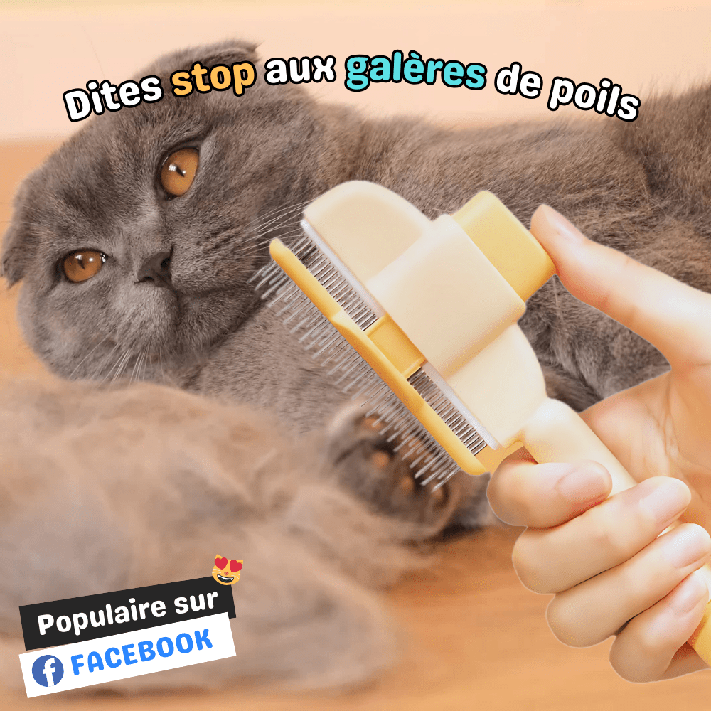 ZenFur - Brosse pour Chat Autonettoyante & Douce - oaura