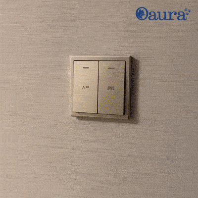 ButtoSwitch installation en 3 étapes - cache interrupteur décoratif chat sans outil