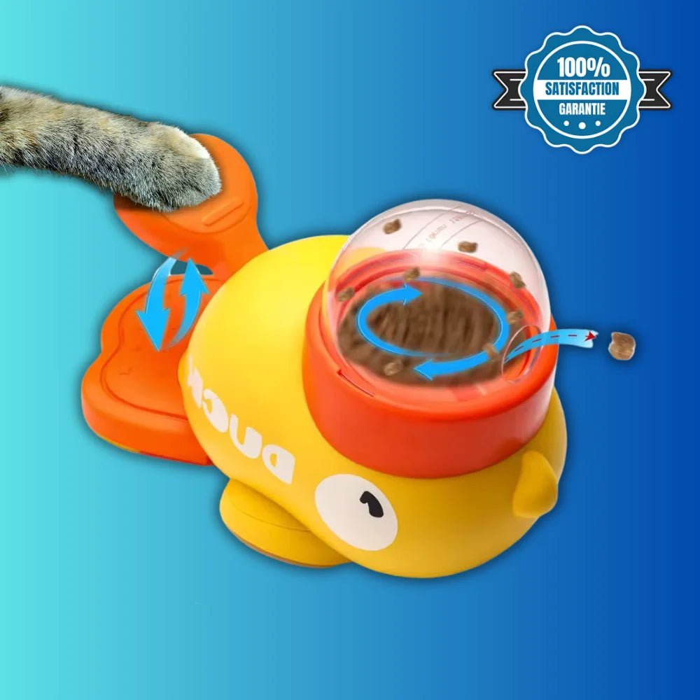 Distributeur Interactif - CaptiDuck - oaura