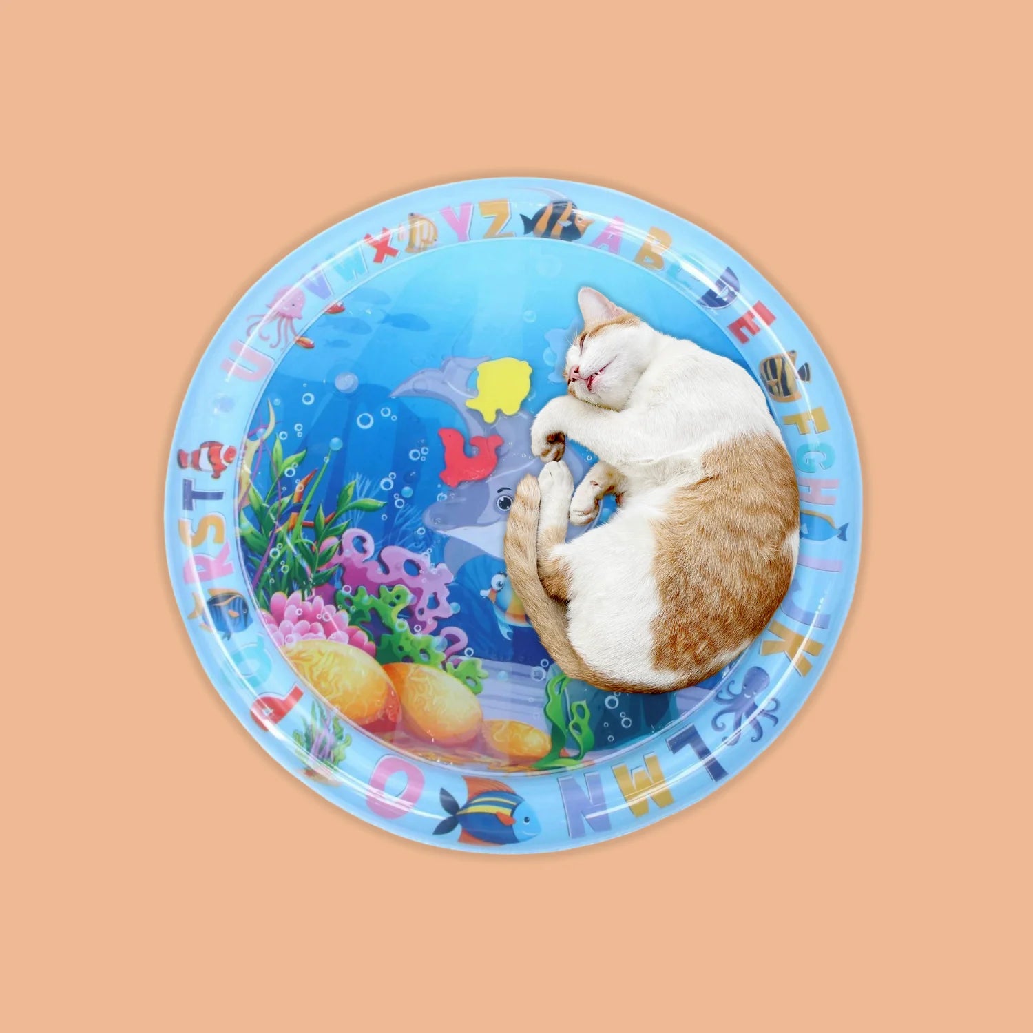 Chat dormant sur un tapis rafraîchissant aquatique pour chat