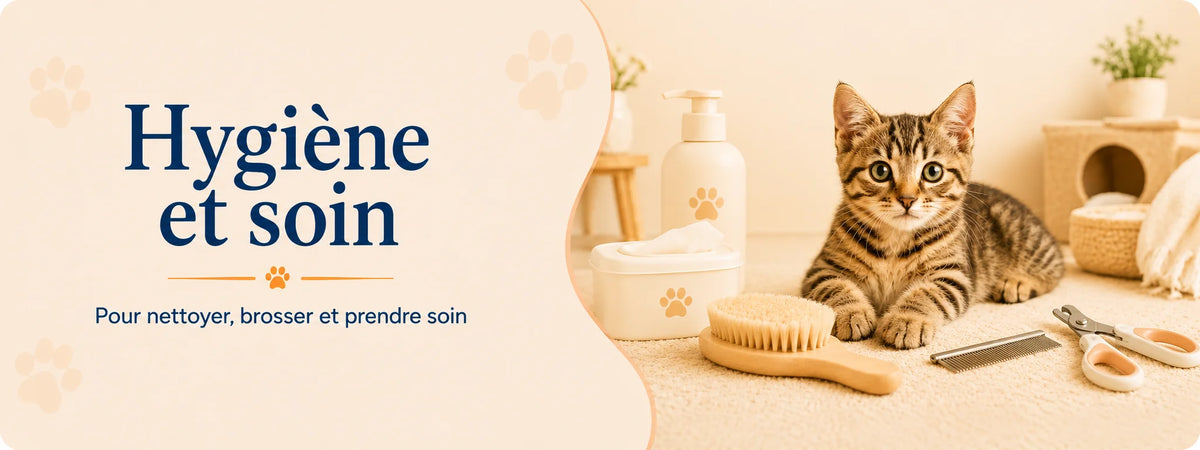 Chat entouré d’une brosse, d’un peigne, d’un coupe-griffes et de produits de soin