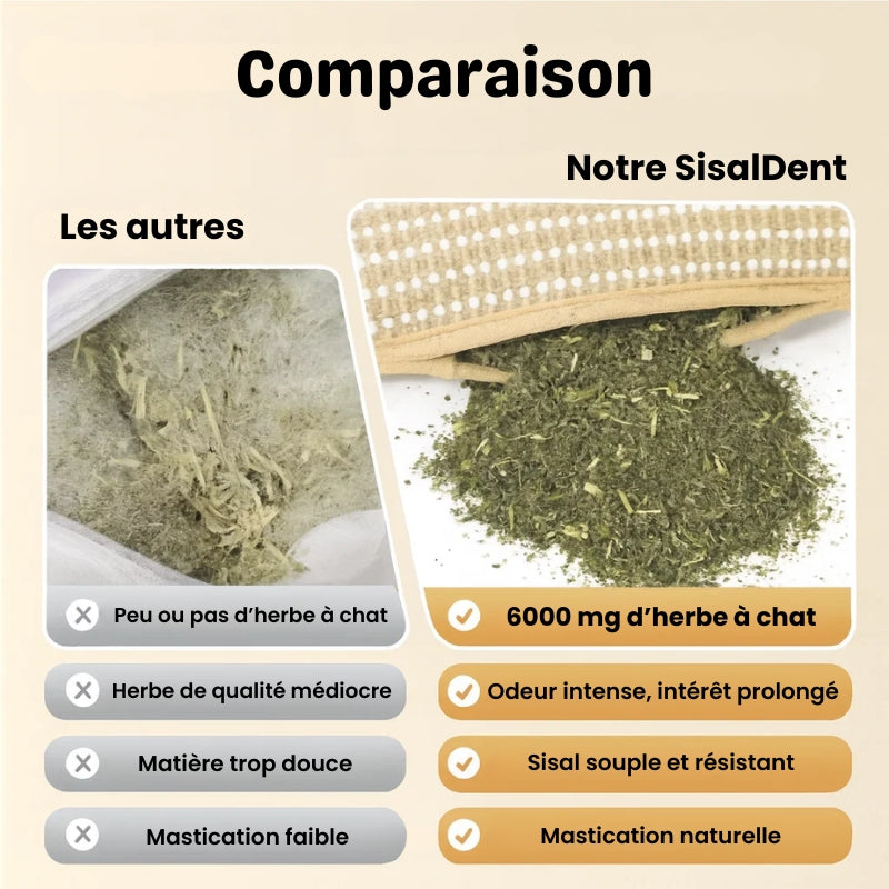 Coussin à Mâcher en Sisal Avec Herbe à Chat