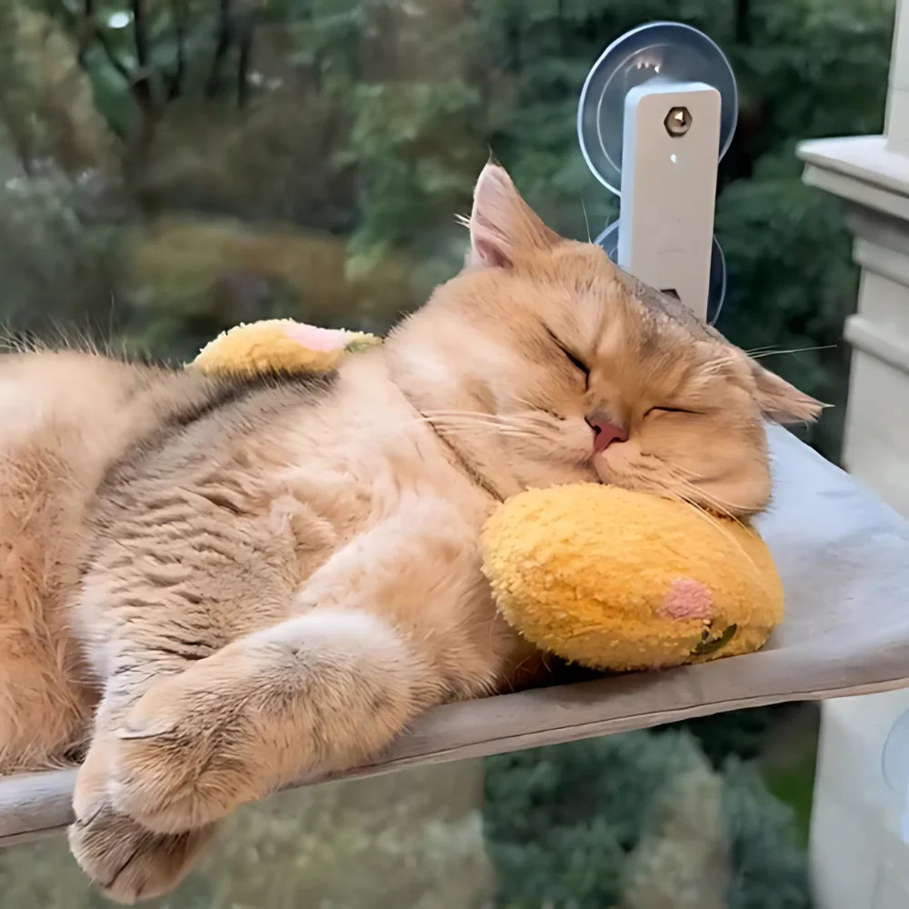 Hamac pour chat – Hamacat