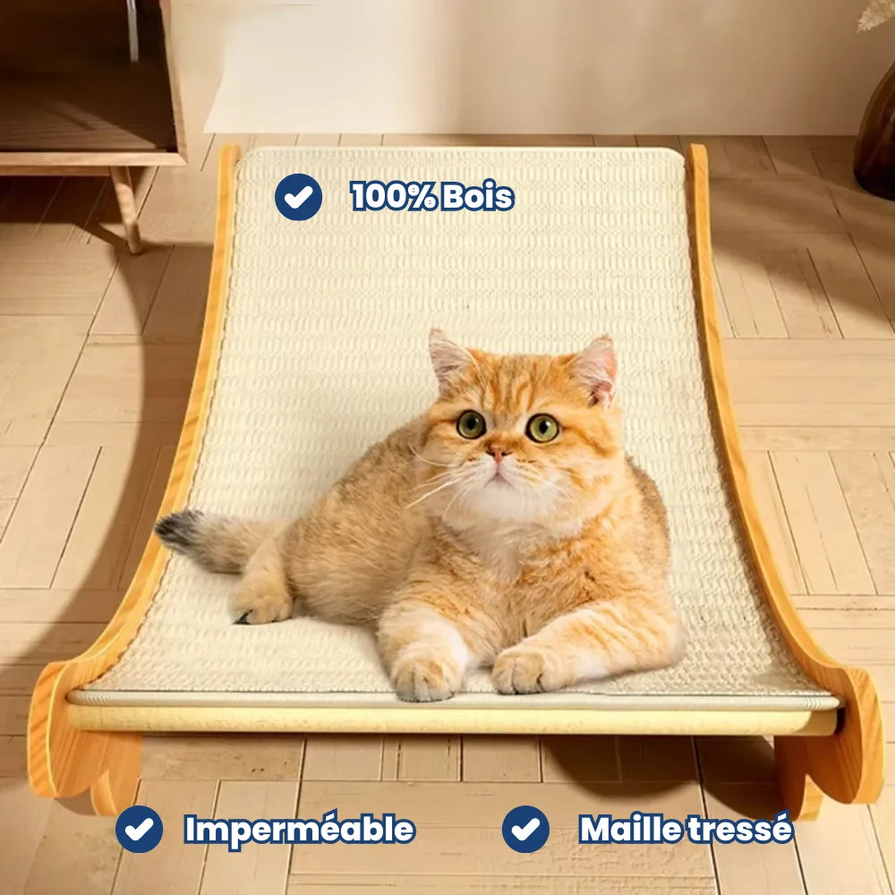 Cat Scratching Bed