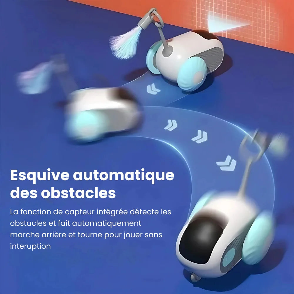 Jouet Téléguider Pour Chat - PawsCars